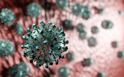 Don’t Let Coronavirus Ruin Your Small Business